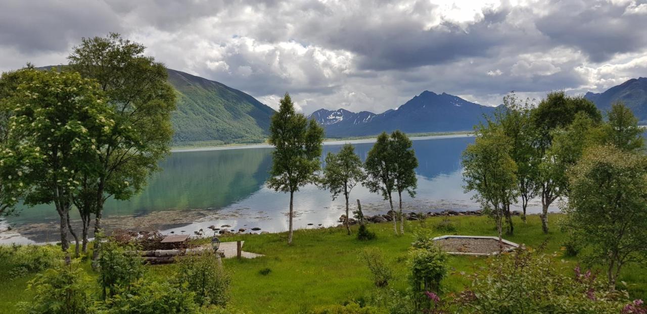 Villa Lykkebo, Skjoldehamnveien 1151, Nygard, Andoy Risoyhamn Esterno foto