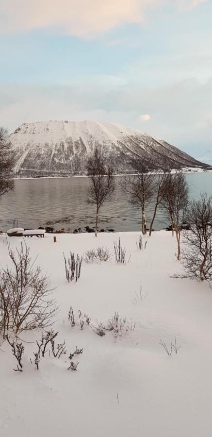 Villa Lykkebo, Skjoldehamnveien 1151, Nygard, Andoy Risoyhamn Esterno foto