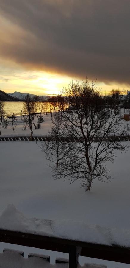 Villa Lykkebo, Skjoldehamnveien 1151, Nygard, Andoy Risoyhamn Esterno foto