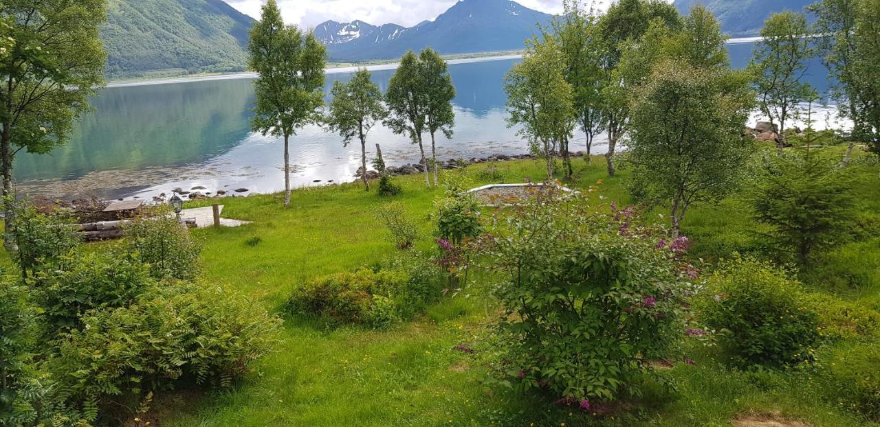 Villa Lykkebo, Skjoldehamnveien 1151, Nygard, Andoy Risoyhamn Esterno foto